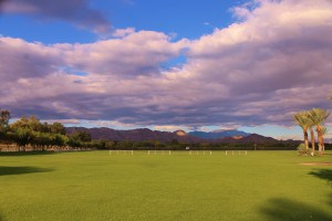 Equestrian Properties include those near the Polo clubs.