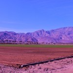 indian wells short sale expert