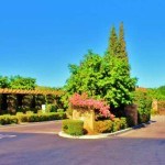 The Orchard in Indio