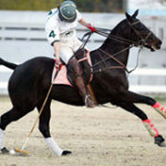 palm springs valley homes for sale