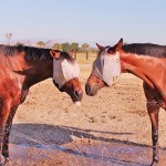Trilogy Golf Club has reopened it's doors, did you hear?
