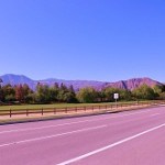 Indio short sale expert