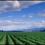 "Ag Trail" Would Be New Kind of Tourism in Palm Springs Valley