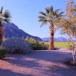 palm springs homes for sale