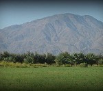 Coachella Valley horse ranch for sale