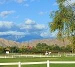 Tamale Festival in Indio, California