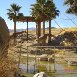 The Living Desert in Palm Desert