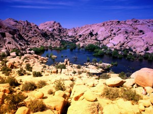 Joshua Tree National Park