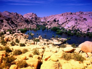 Joshua Tree National Park