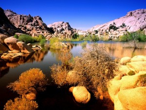 Palm Springs homes for sale Joshua Tree National Park