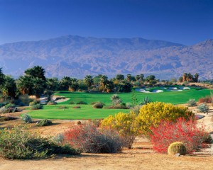 Desert Willow Golf Resort