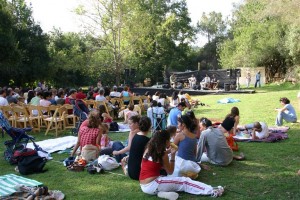 Concerts in the Park