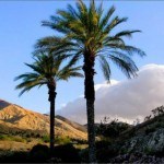 Living in Palm Desert