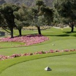 Indian Wells real estate