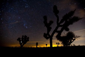 Joshua Tree National Park Stargazing