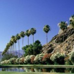 Palm Desert