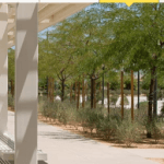 Sunnylands Center and Gardens