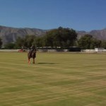 equestrian ranch