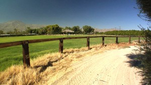 Horse Farm in Thermal. CA.  SOLD!