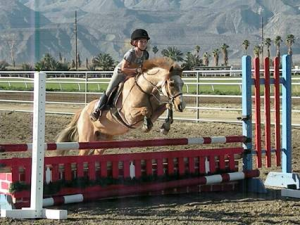 HITS show jumping has events for all levels of riders and horses!