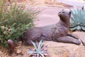 The Living Desert welcomes you!