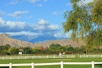 International field at Eldorado Polo Club, Indio