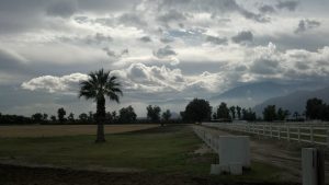 The Eastern Coachella Valley offers golf and non-golf communities.  Houses & Condos