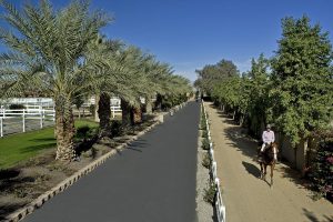 Private Luxury Farm on 4+ acres in La Quinta, CA. SLASHED in price!