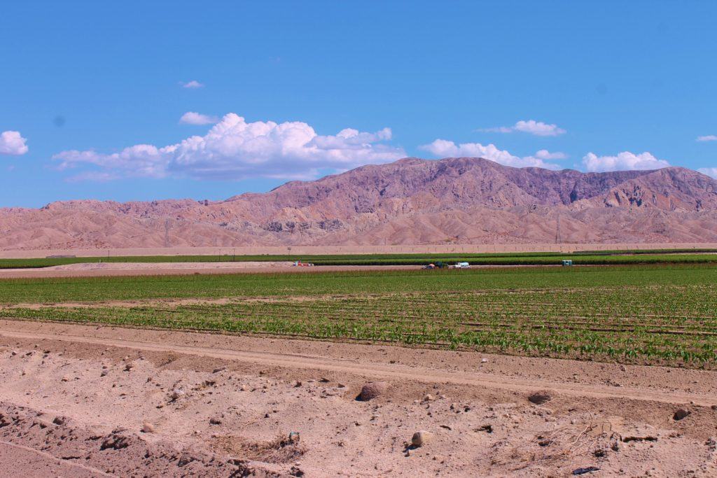 Vista Santa Rosa; Eastern Coachella Valley Coachella Valley Real