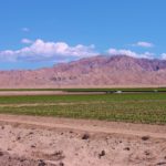 Travertine in La Quinta