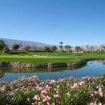 water life in coachella