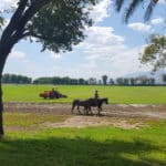 Farm for sale in Coachella Valley