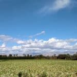 Land and farms for sale, Coachella Valley