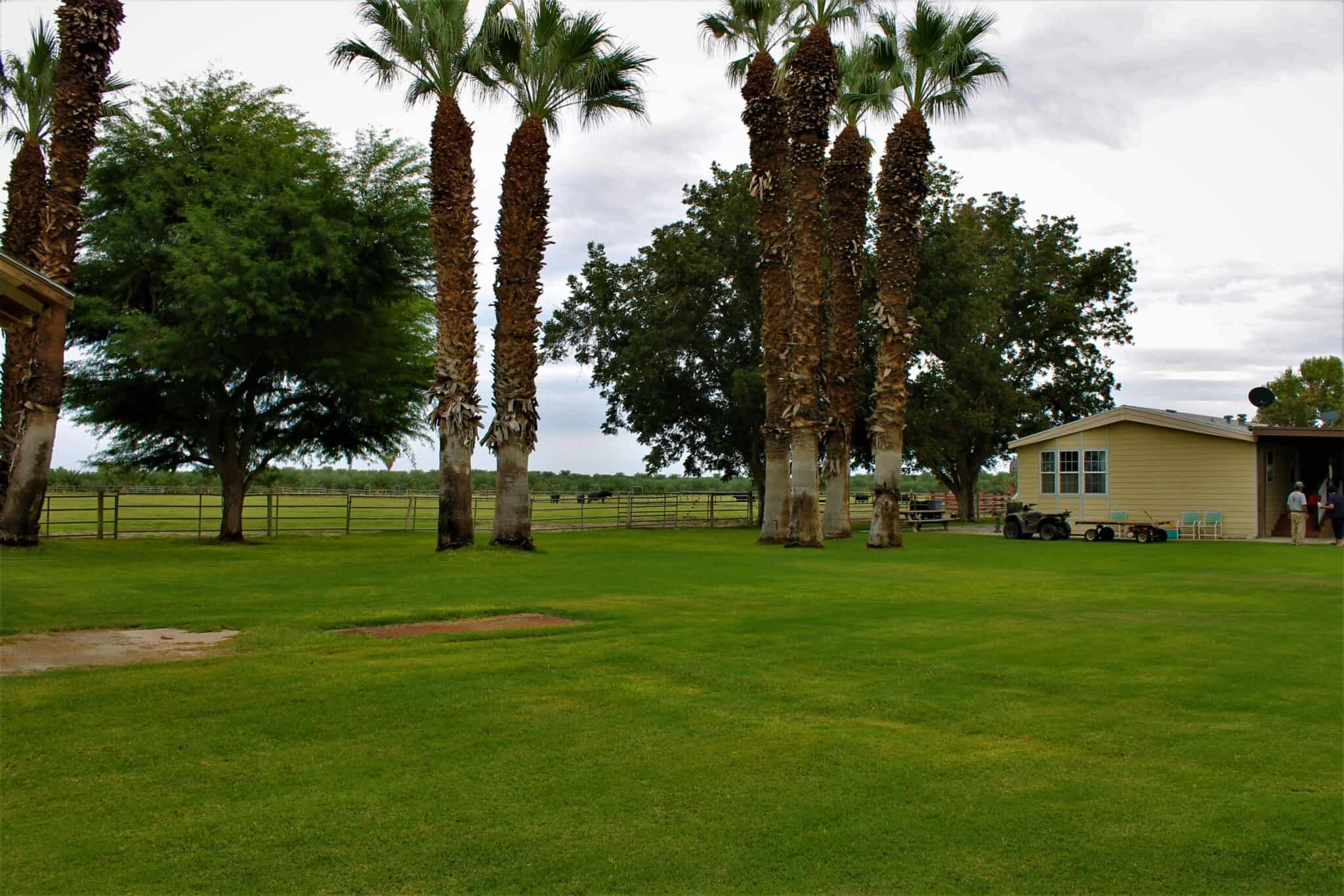 Farms for Sale Coachella Valley Real Estate Homes for sale in Coachella Valley
