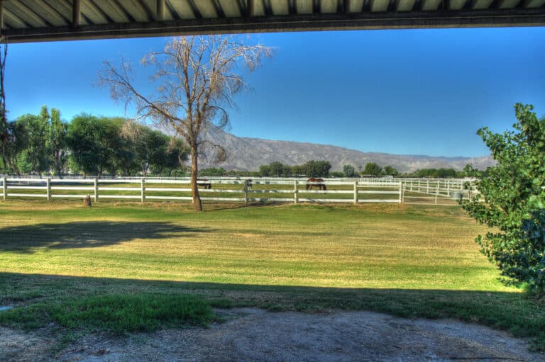 Just Sold! Farms in the Coachella Valley Coachella Valley Real Estate