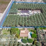 35 acre date facility